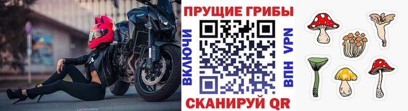 как найти закладки  OMG маркетплейс  Псилоцибиновые грибы ЛСД  Буй 